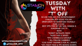 Tuesday Stallioniptv.png