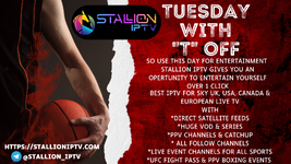 Tuesday Stallioniptv.com.png